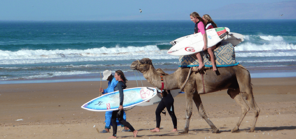 surfistas en camello de blue morocco