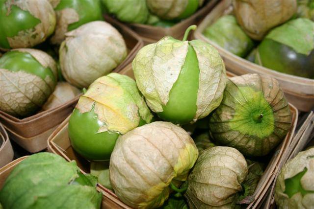 tomatillo